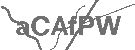 CAPTCHA Image