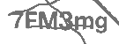 CAPTCHA Image